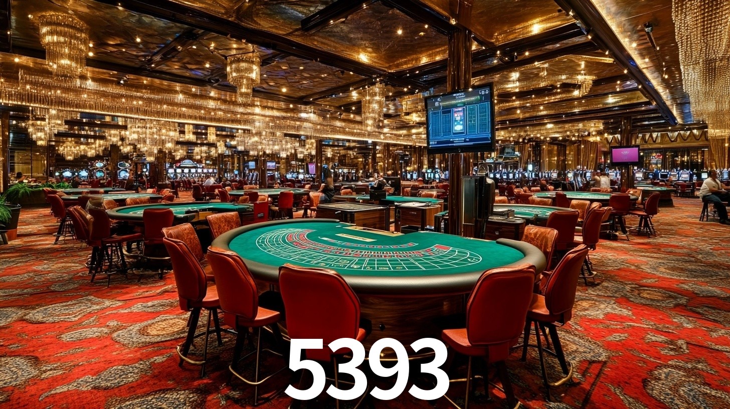 5393.com